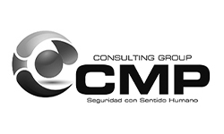 CMP Consulting Group