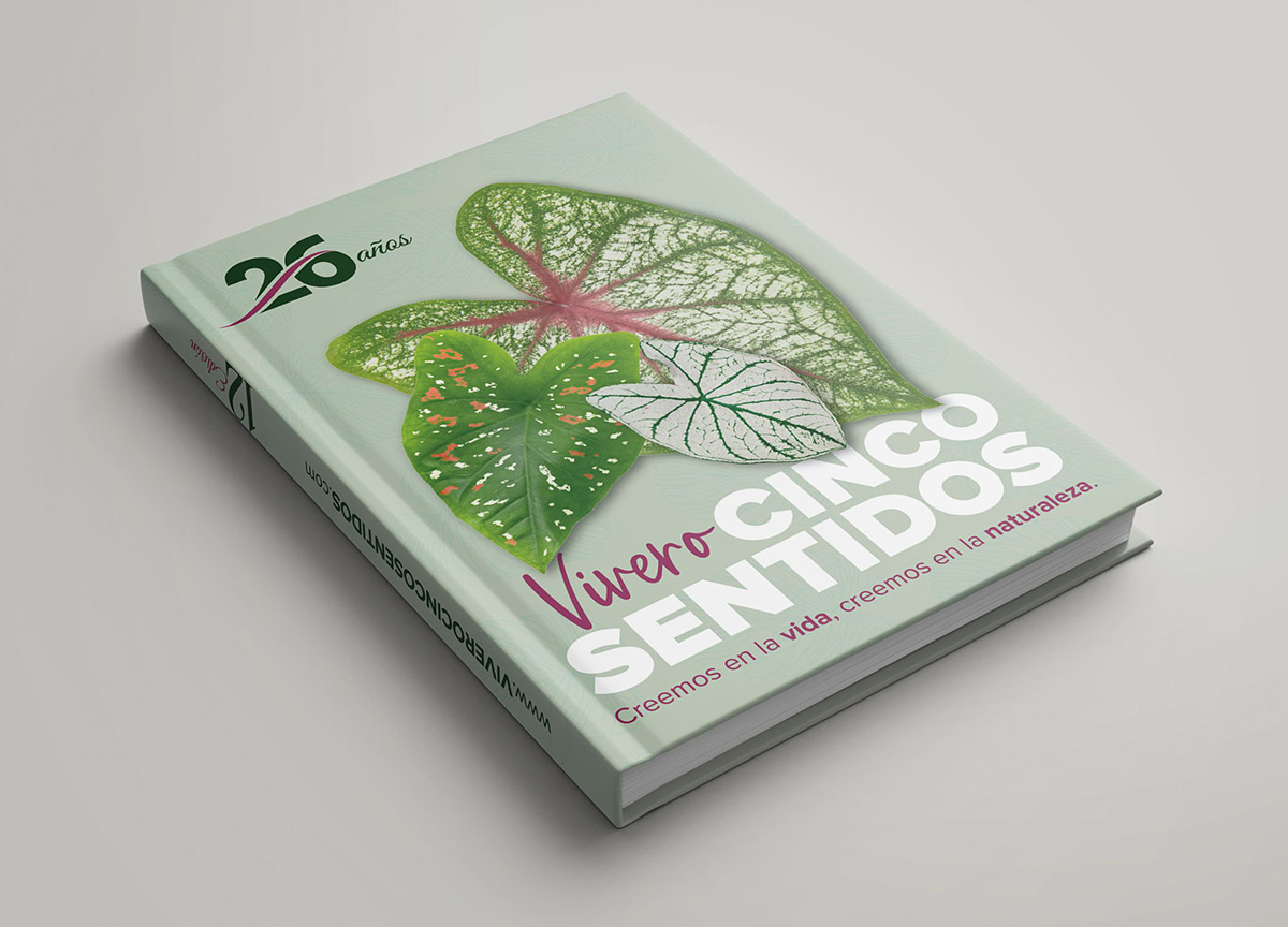 Diseño Agenda Corporativa