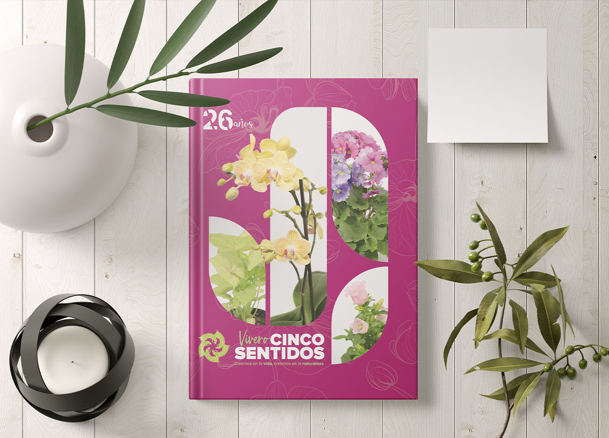Diseño Agenda Corporativa