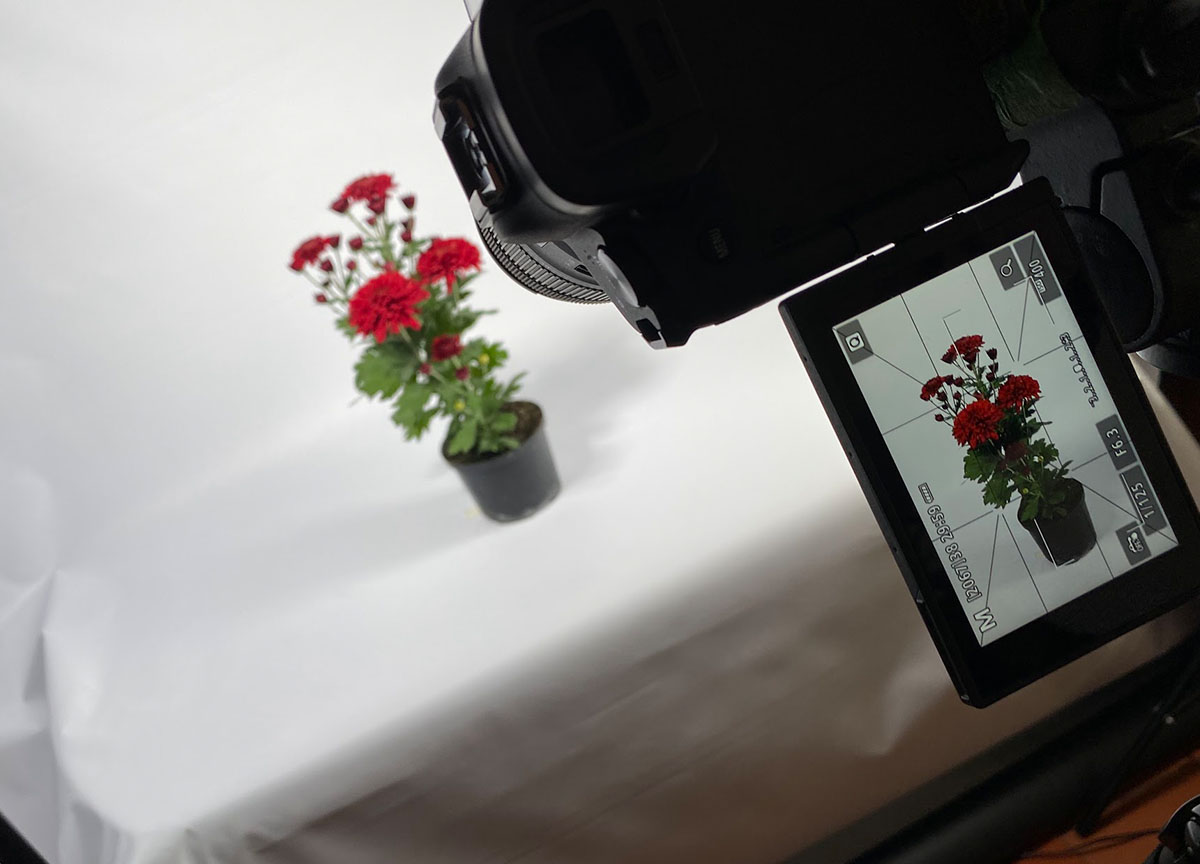 Fotografía de Productos