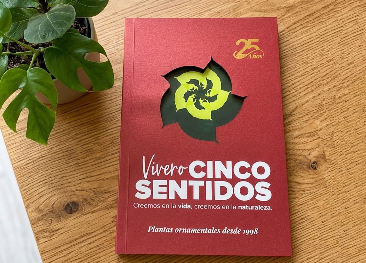 Diseño de Catálogo